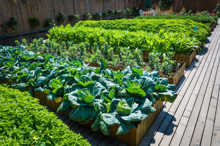 Build a raised garden bed for yourself