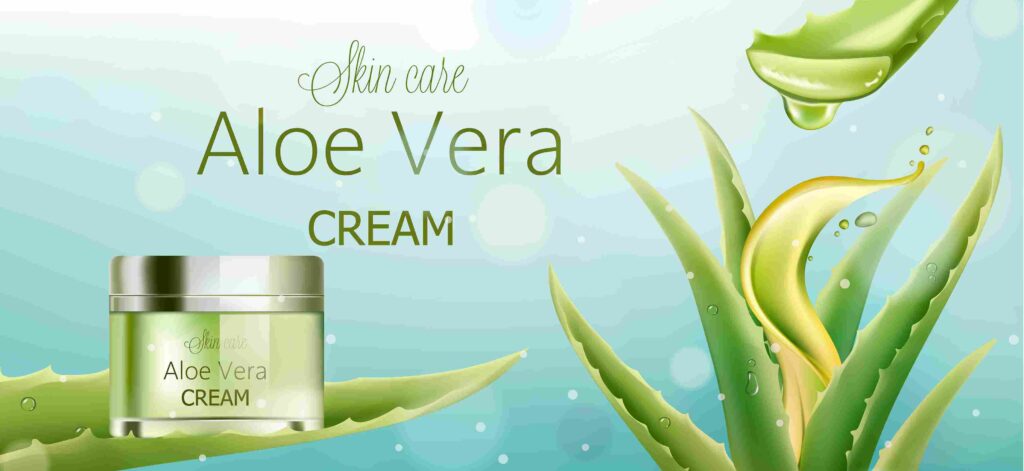 Aloe Vera Gel for Skin, Hair, and More