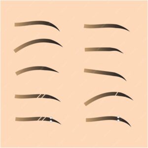 Different Types of Eyebrow Slits