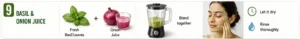 Basil and Onion Juice