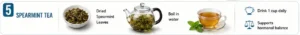Spearmint Tea