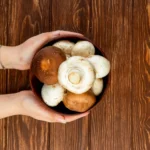 How to Grow Mushroom
