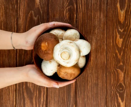 How to Grow Mushroom