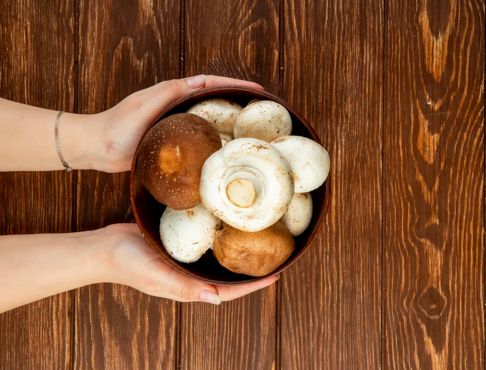 How to Grow Mushroom