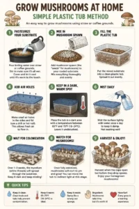 How to Grow Mushroom