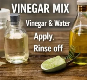 Vinegar