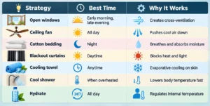 Stay Cool Without AC